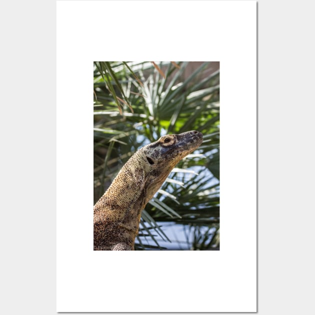 Blended Komodo Wall Art by redneckpoet